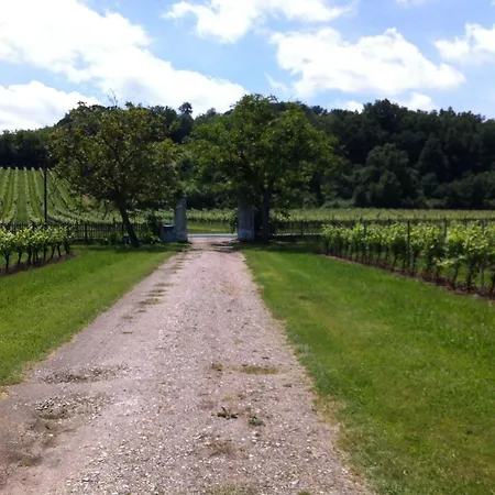 Schloss Mit Ueberlaufpool An Der Dordogne By Interhome *